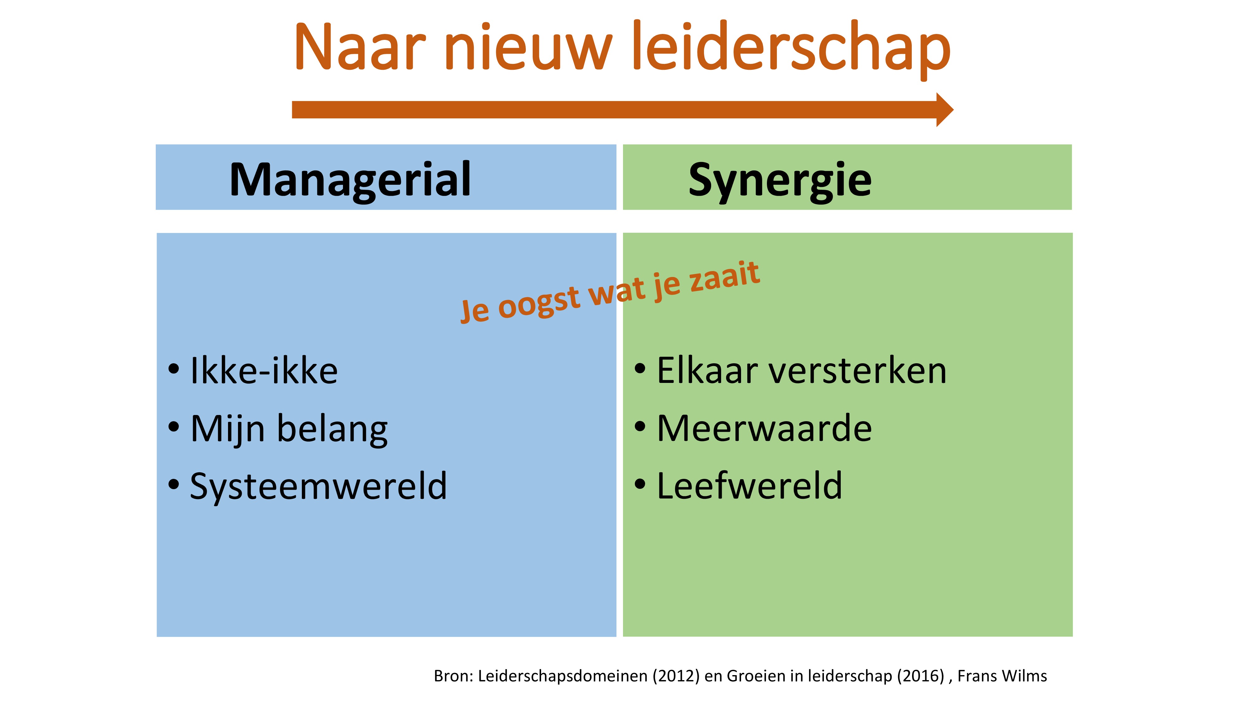 Van Managerial naar synergie leiderschap 