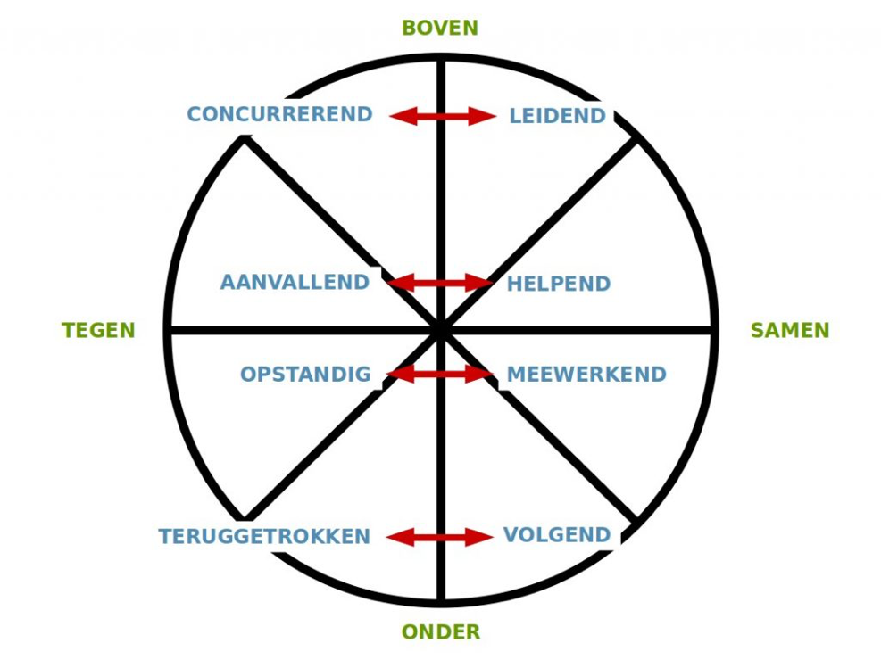 Roos van Leary, de spiegel