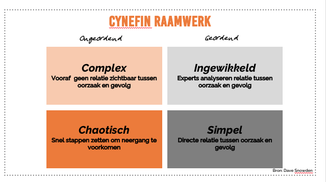 Cynefin raamwerk